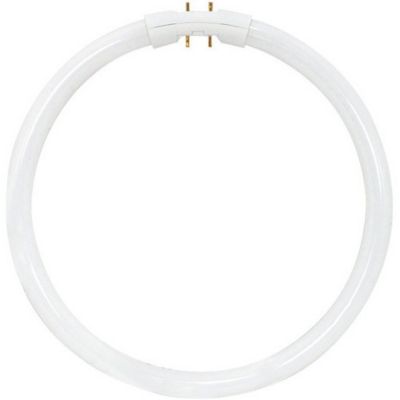 22W T5 2GX13 Circline Fluorescent 3000K Bulb by SATCO Lighting - Starlight Lighting USA and Canada